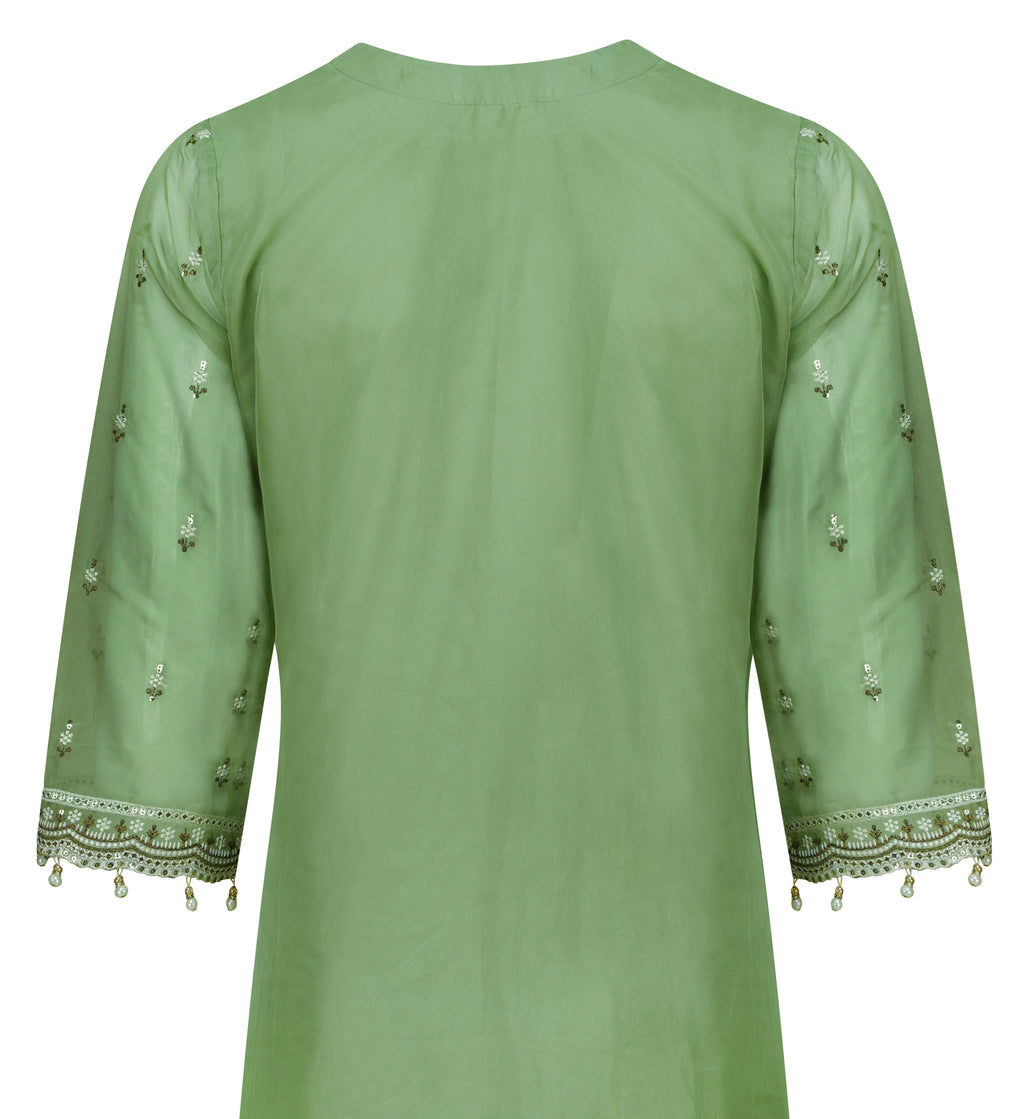 Soft Pistachio Organza Embroidered Three-Piece Suit