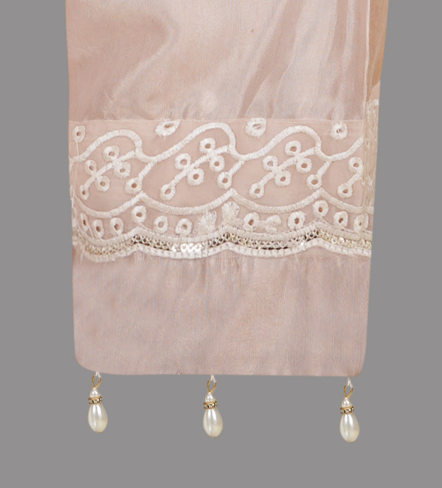 Soft Blush Organza Embroidered Three-Piece Set with Pearl Tassel Dupatta