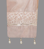Soft Blush Organza Embroidered Three-Piece Set with Pearl Tassel Dupatta